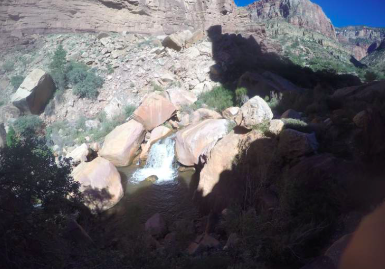 We ran alongside this stream for ~7 miles on the N. Kaibab trail.